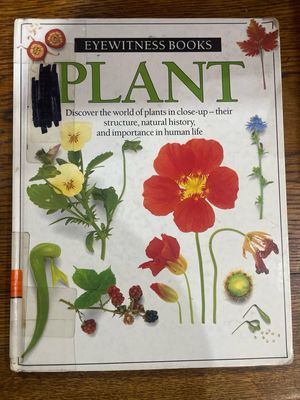 Eyewitness Books: Plant by David Burnie
