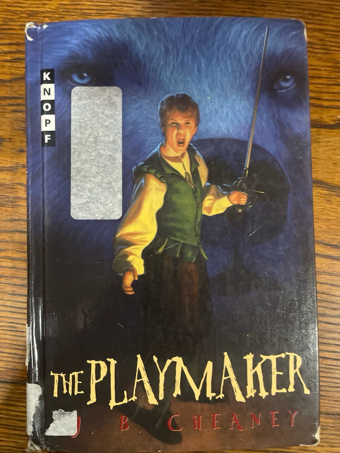 The Playmaker by J. B. Cheany