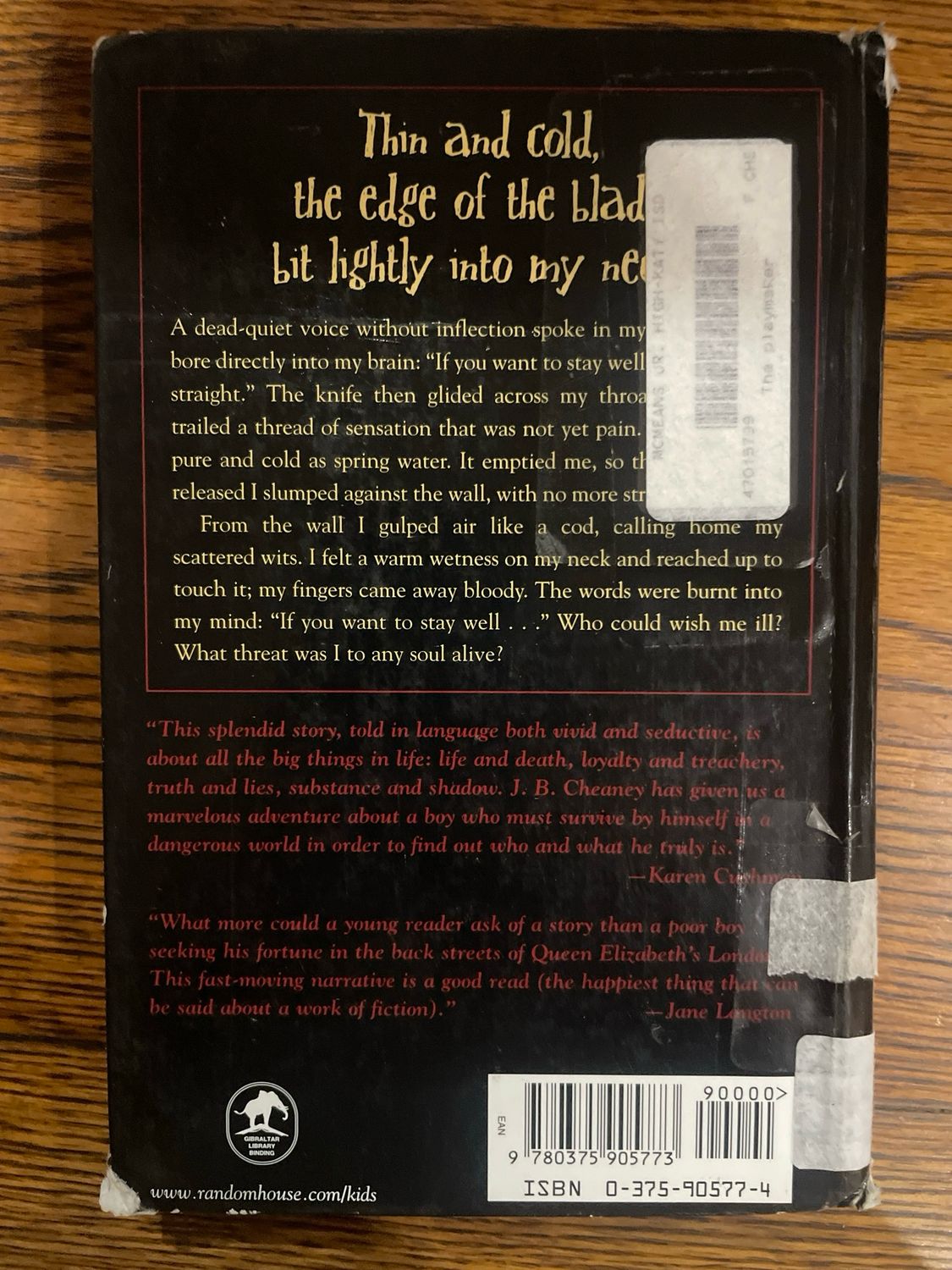 The Playmaker by J. B. Cheany