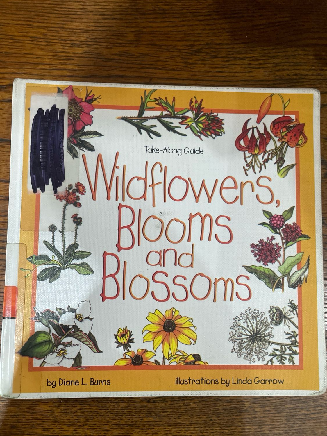 Take Along Guide: Wildflowers, Blooms And Blossoms by Diane L. Burns