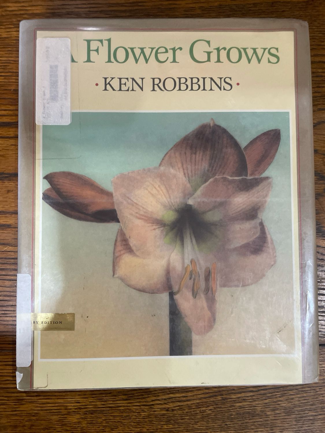 A Flower Grows by Ken Robbins