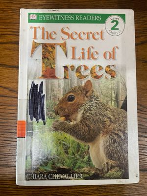 The Secret Life Of Trees by Chiara Chevallier