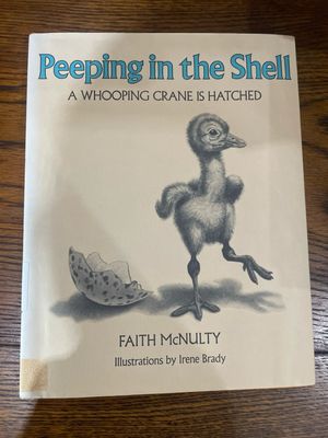 Peeping in the She’ll: A Whooping Crane is Born by Faith McNulty