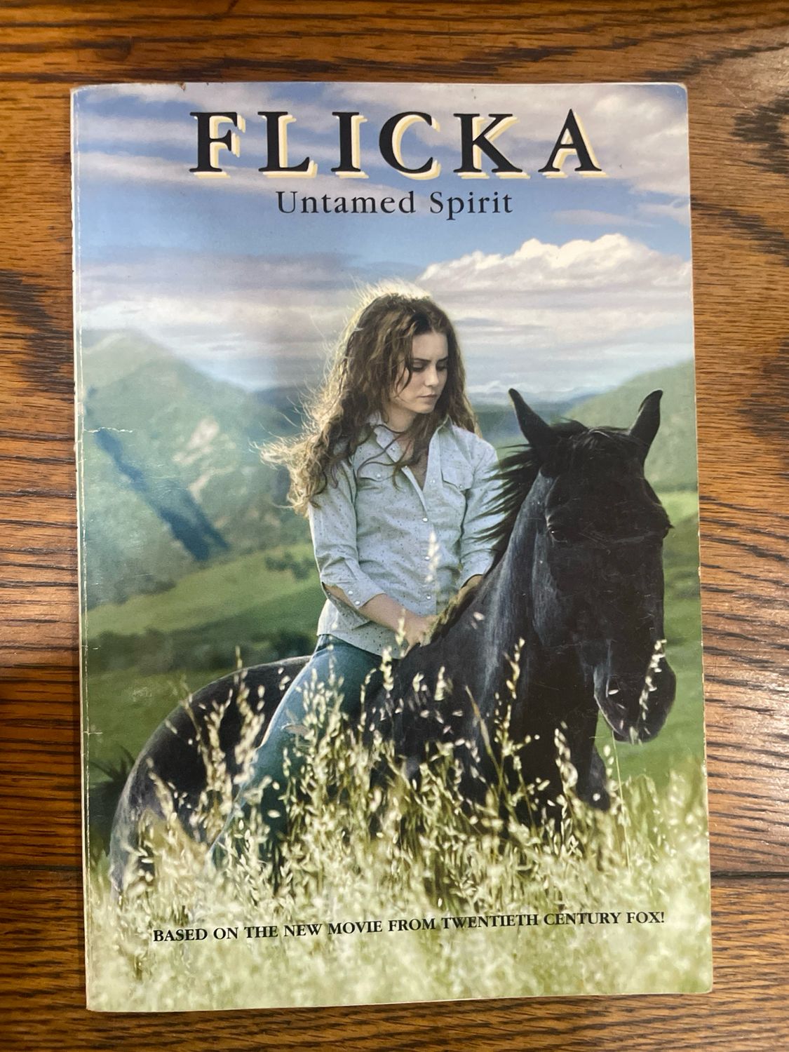 Flicka by Judy Katschke