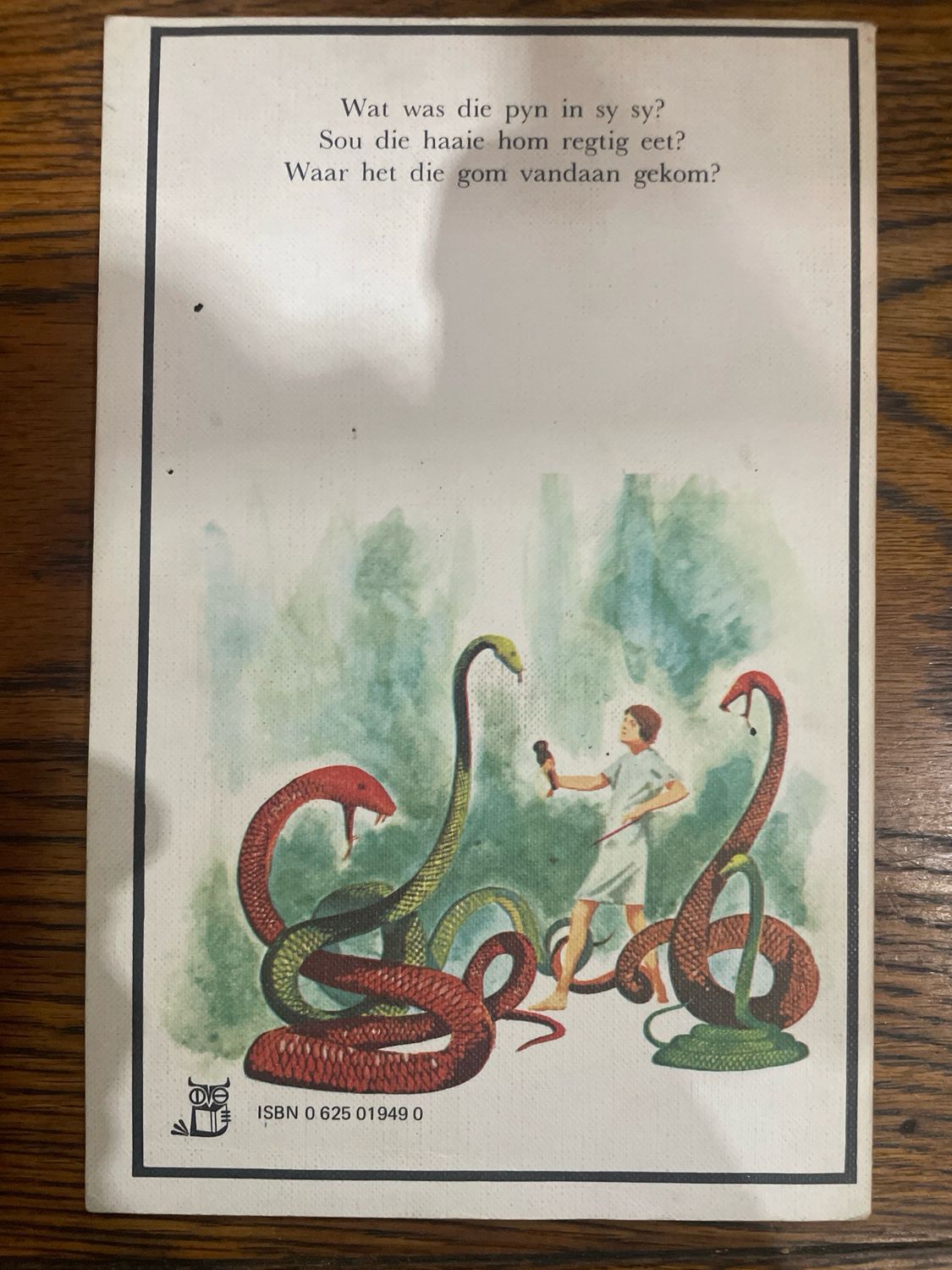 Help! n Nag in die Hospitaal deur James Webster (Afrikaans)