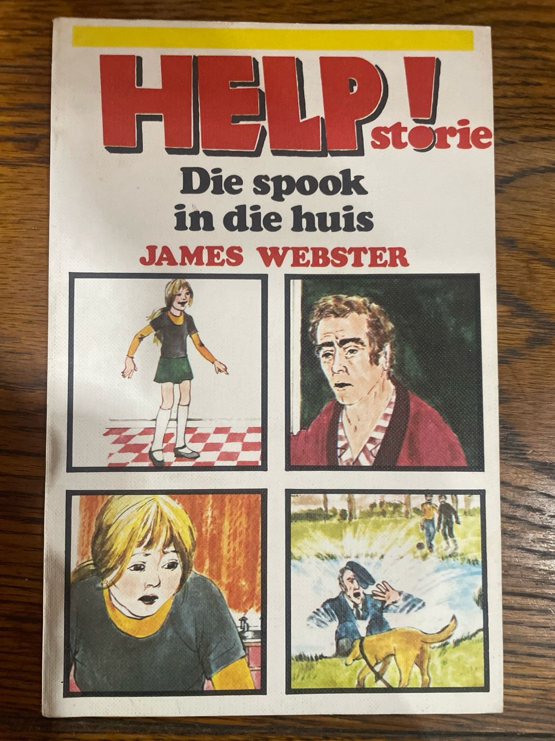 Help! Die Spook in die Huis deur James Webster (Afrikaans)