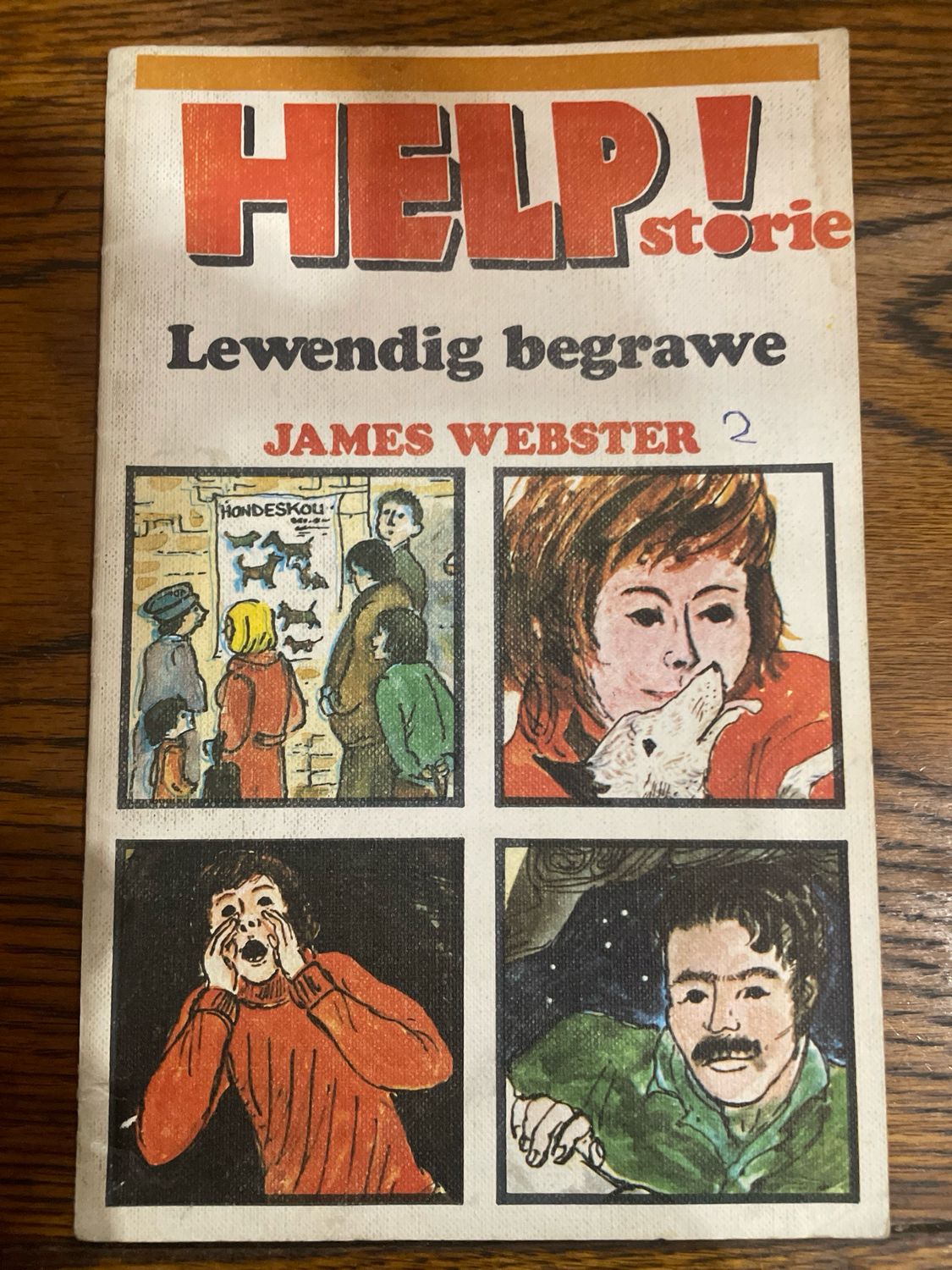Help! Lewendig Begrawe deur James Webster (Afrikaans)
