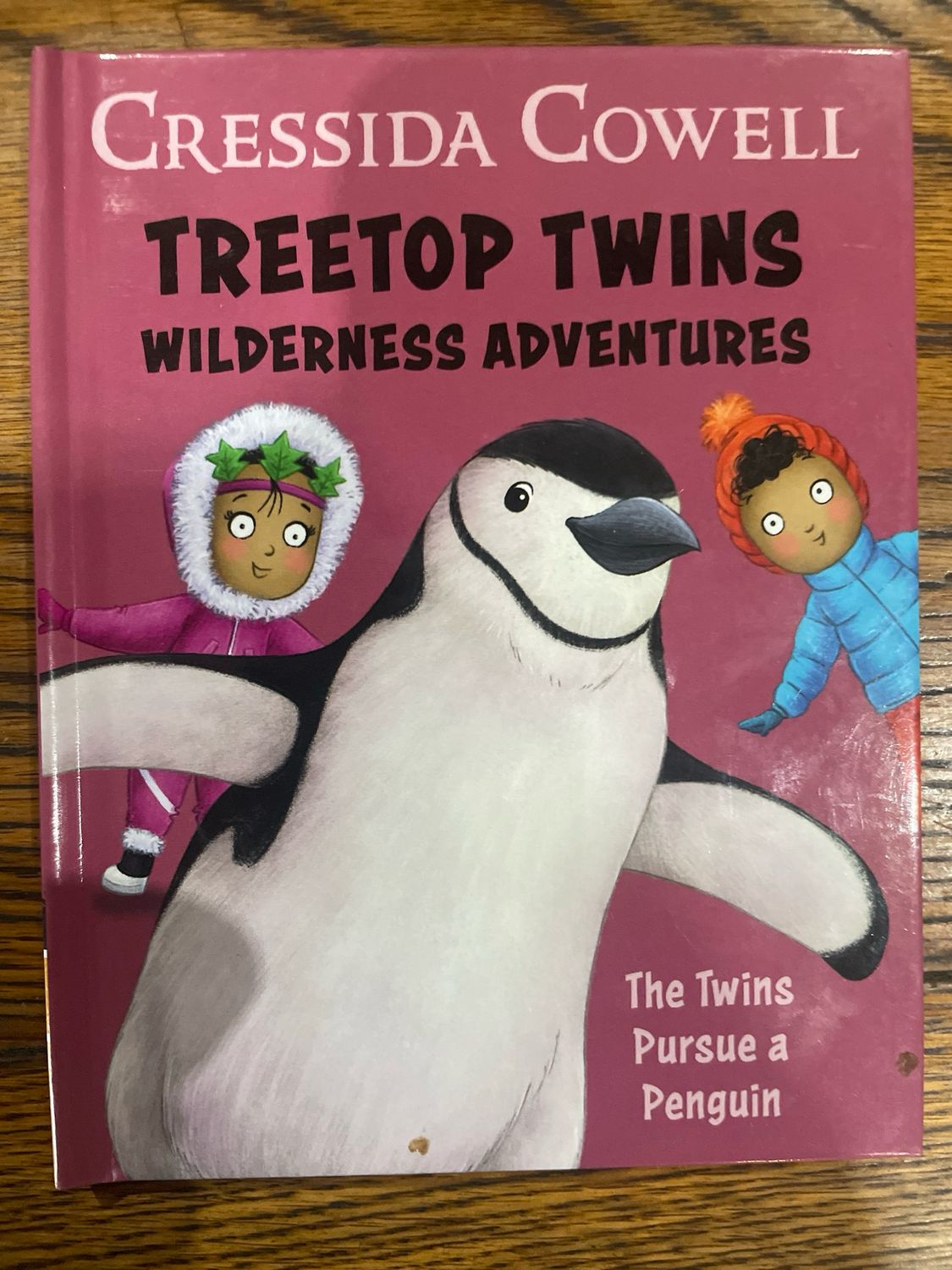 Treetop Twins Wilderness Adventure Book 9: The Twins Pursue A Penguin by Cressida Cowell