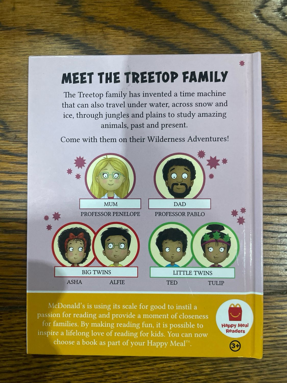 Treetop Twins Wilderness Adventure Book 9: The Twins Pursue A Penguin by Cressida Cowell