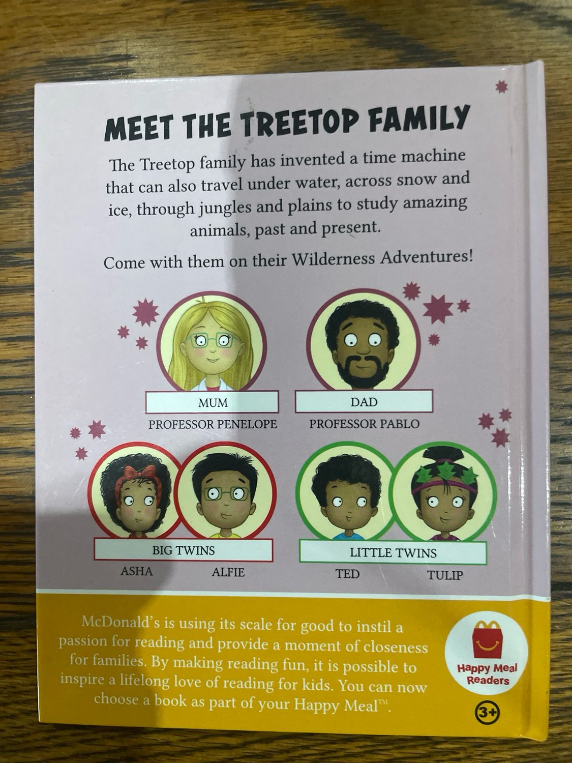 Treetop Twins Wilderness Adventures: The Twins Persue a Penguin by Cressida Cowell