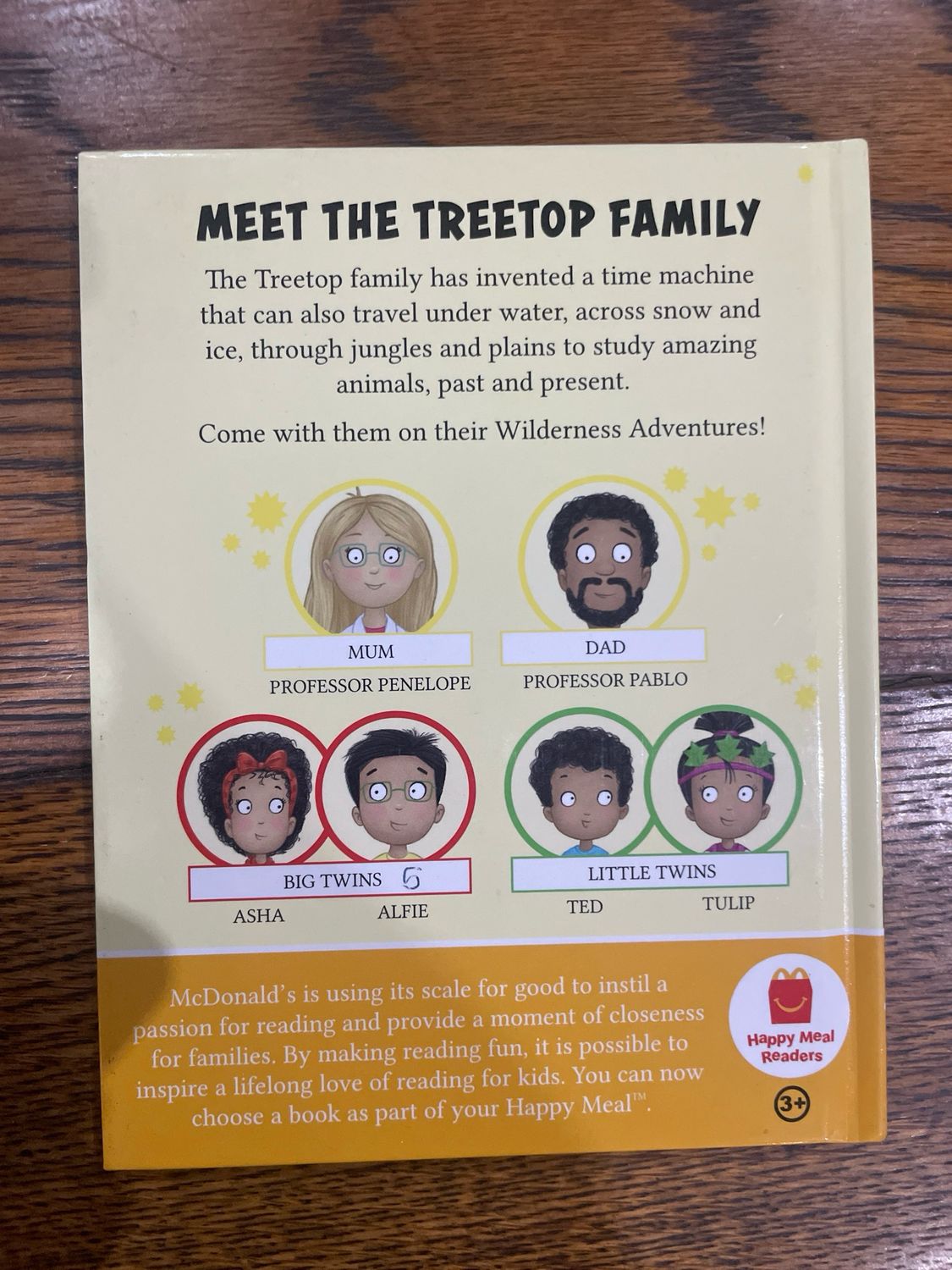 Treetop Twins Wilderness Adventures Book 6: The Twins Track A Tiger by Cressida Cowell