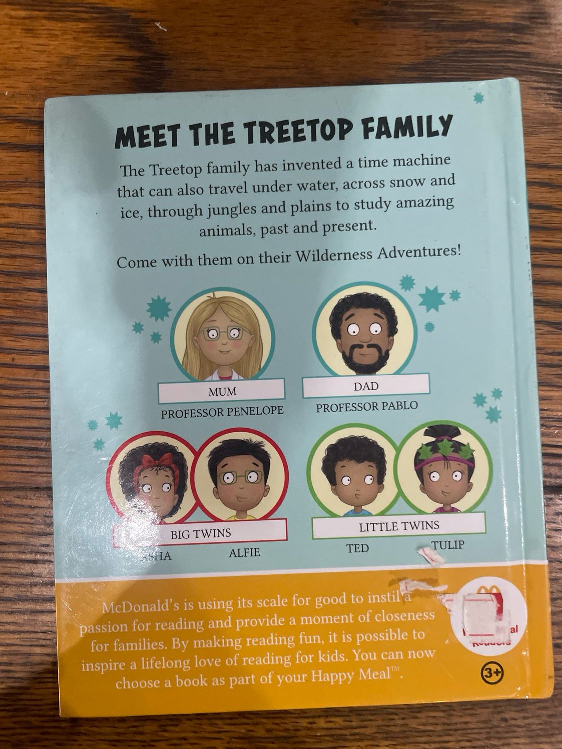 Treetop Twins Wilderness Adventures Book 2: The Twins Meet A Quagga by Cressida Cowell