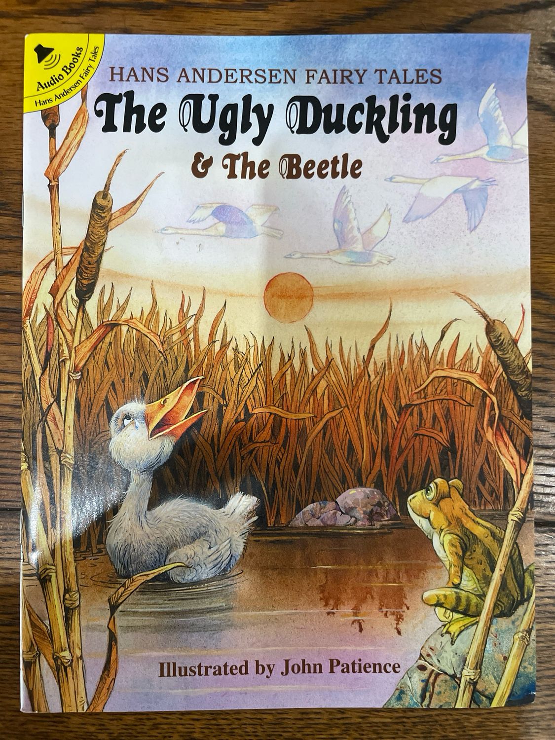 The Ugly Sickly And The Beetle by Hans Chritiaan Anderson