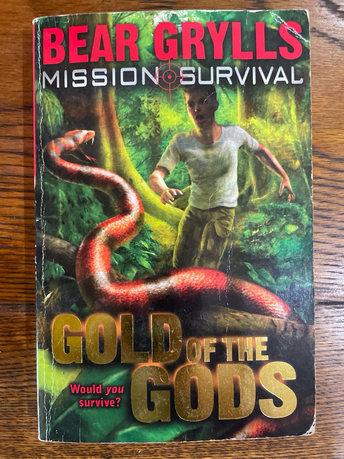 Mission Survival: Gold of the Gods by Bear Grylls (book 1)