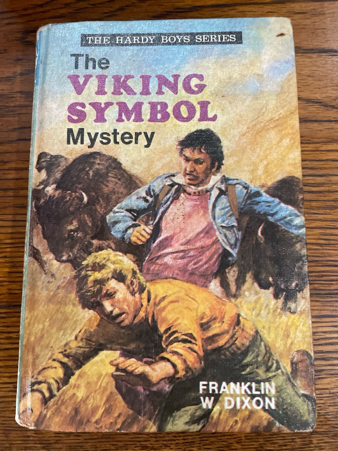Hardy Boys: The Viking Symbol Mystery by Franklin W. Dixon
