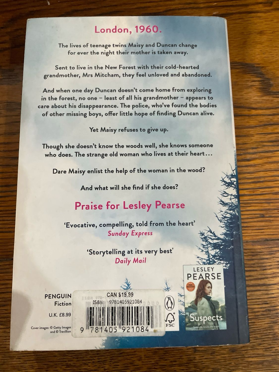 The Woman In The Wood by Lesley Pearse