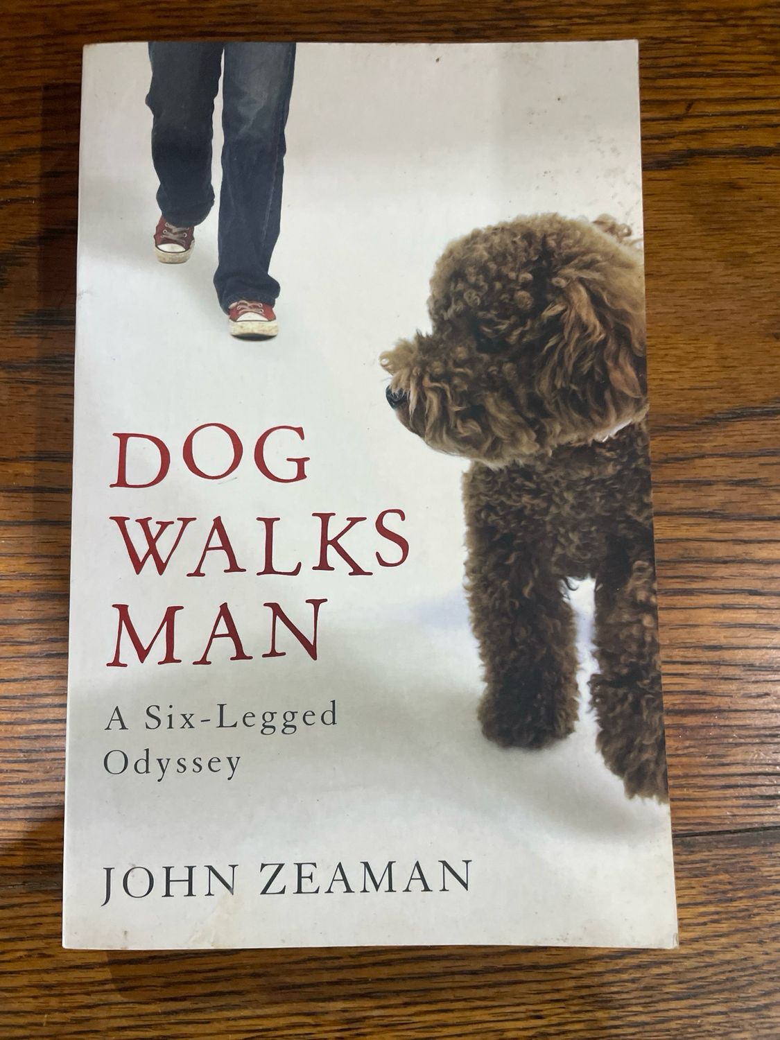 Dog Walks Man by John Zeaman