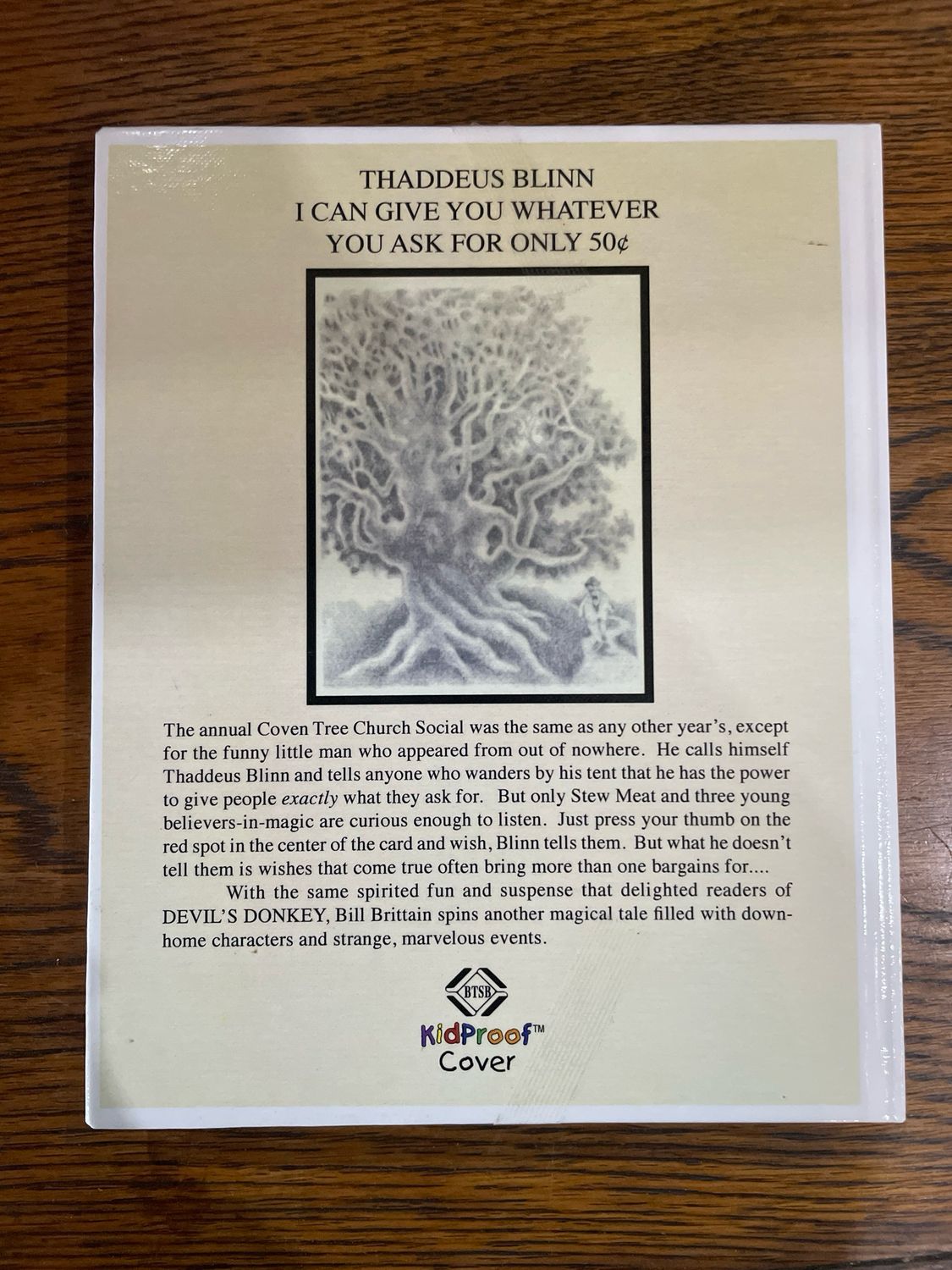 The Wish Giver by Bill Brittan