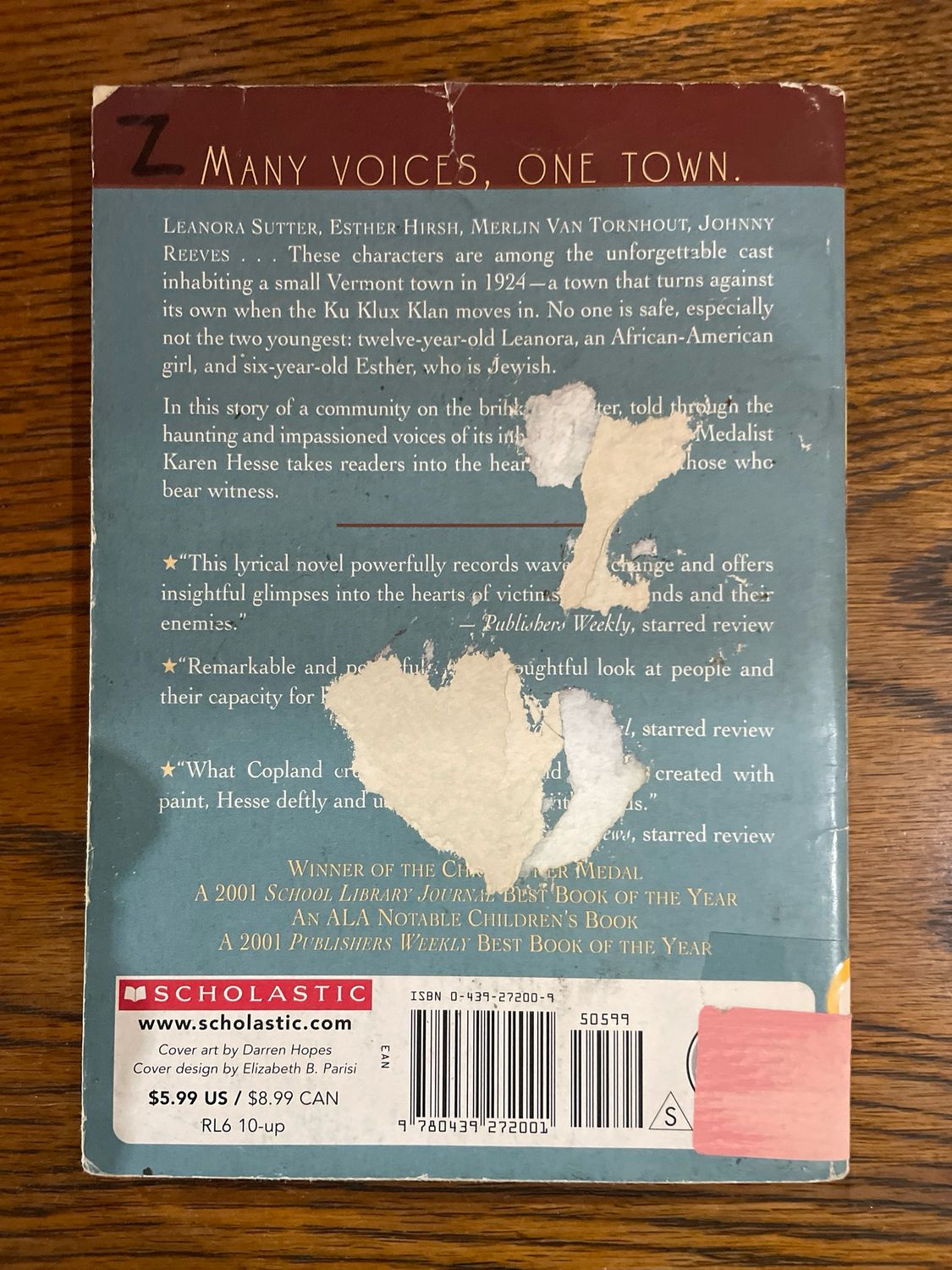 Witness by Karen Hesse