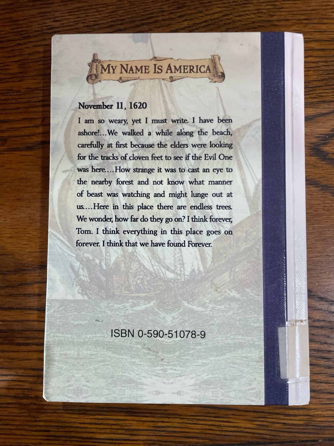 My Name Is America: The Journal Of Jasper Jonathan Pierce A Pilgrim Boy, Plymouth 1620 Ann Rinaldi