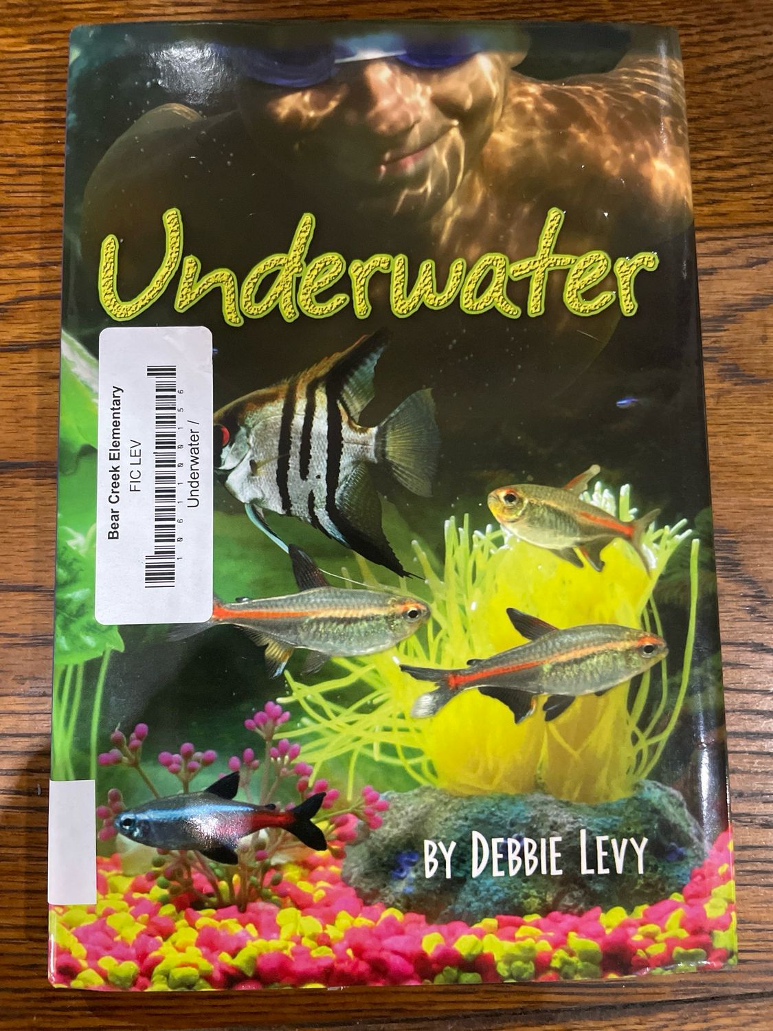 Underwater by Debbie Levy