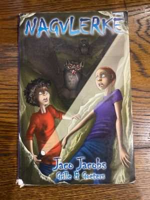 Nagvlerke deur Jaco Jacobs