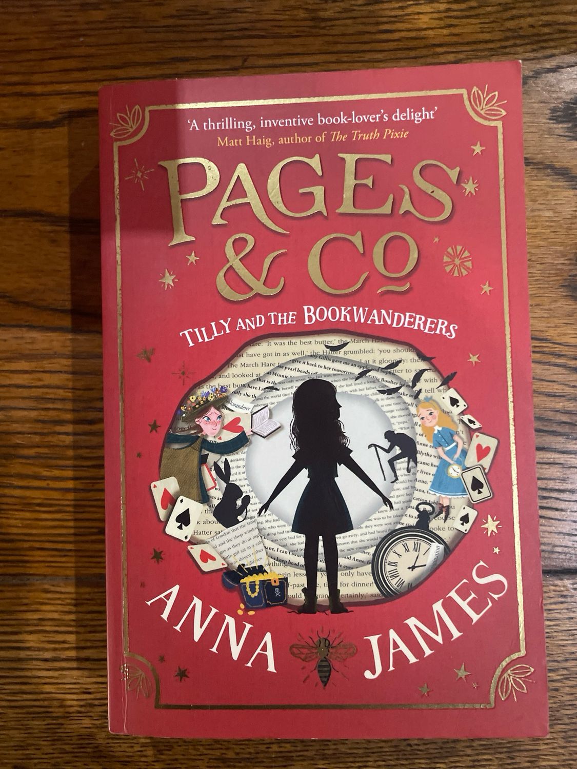 Pages And Co. Book 1: Tilly And The Bookwanderers by Anna James