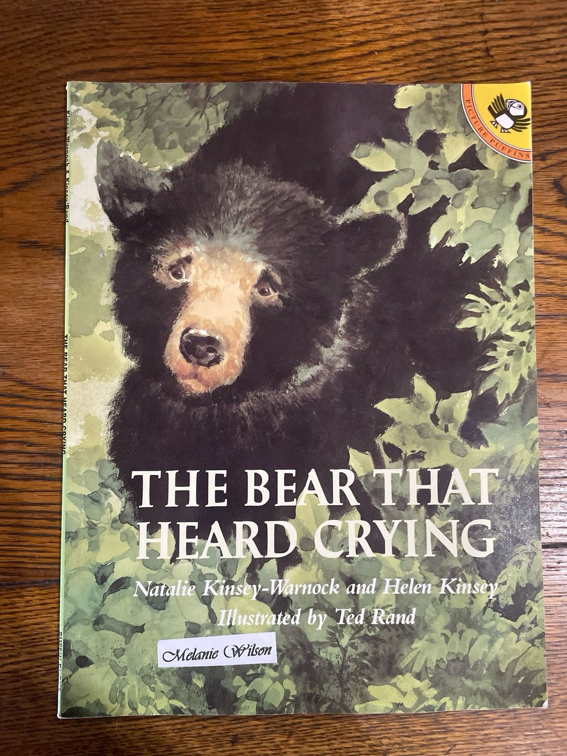 The Bear That Heard Crying by Kinsey- Warnock and Helen Kinsey
