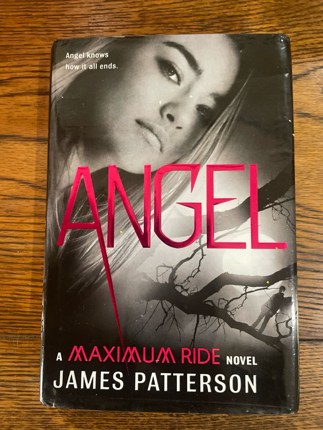 Book 7: Angel by James Patterson ( A Maximum Ride Novel)