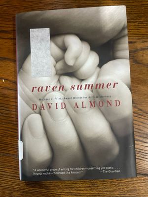 Raven Summer by David Almond