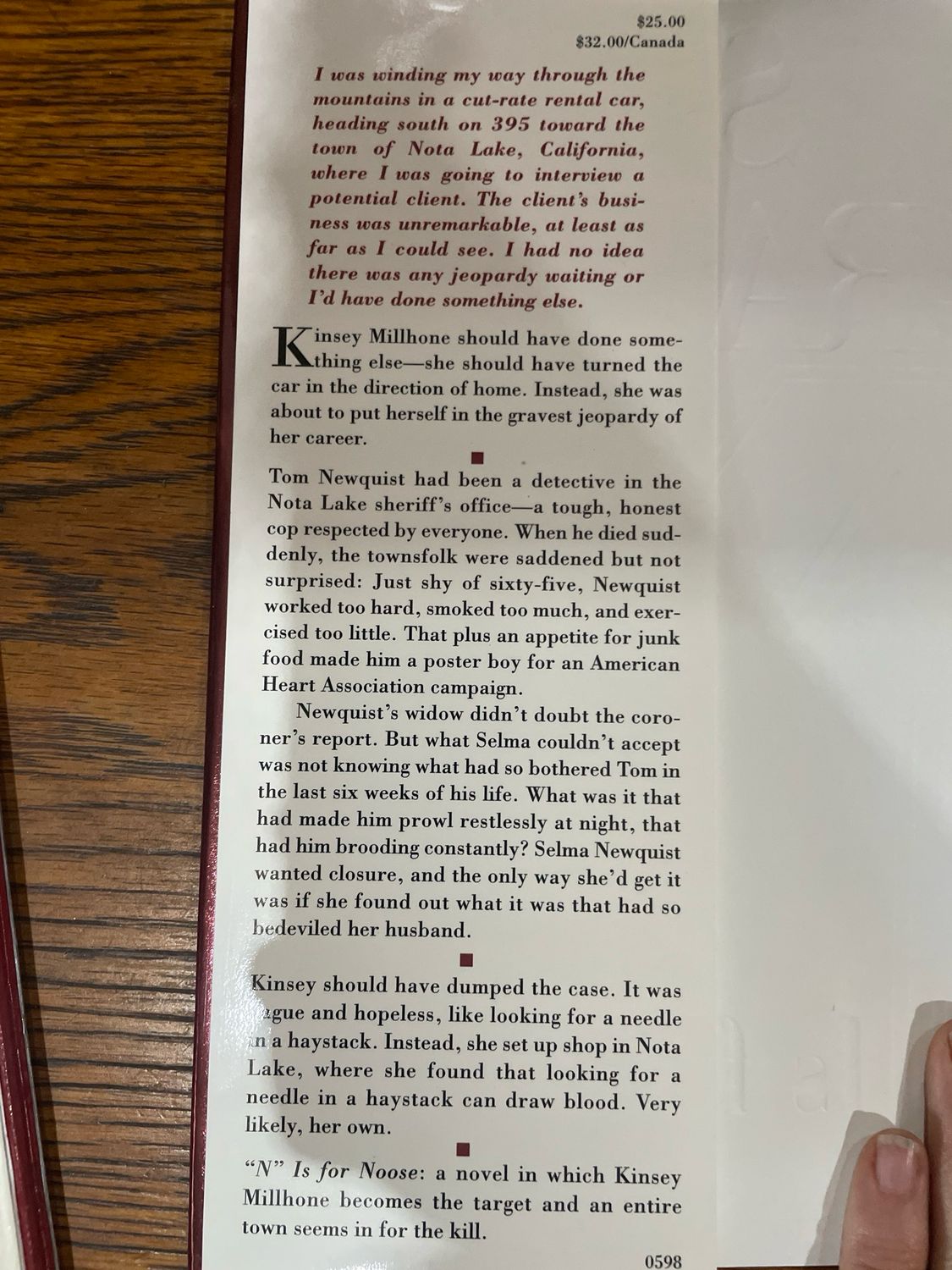 N is for Noose by Sue Grafton