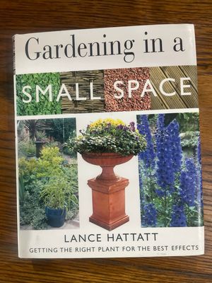 Gardening In A Small Space by Lance Hattatt