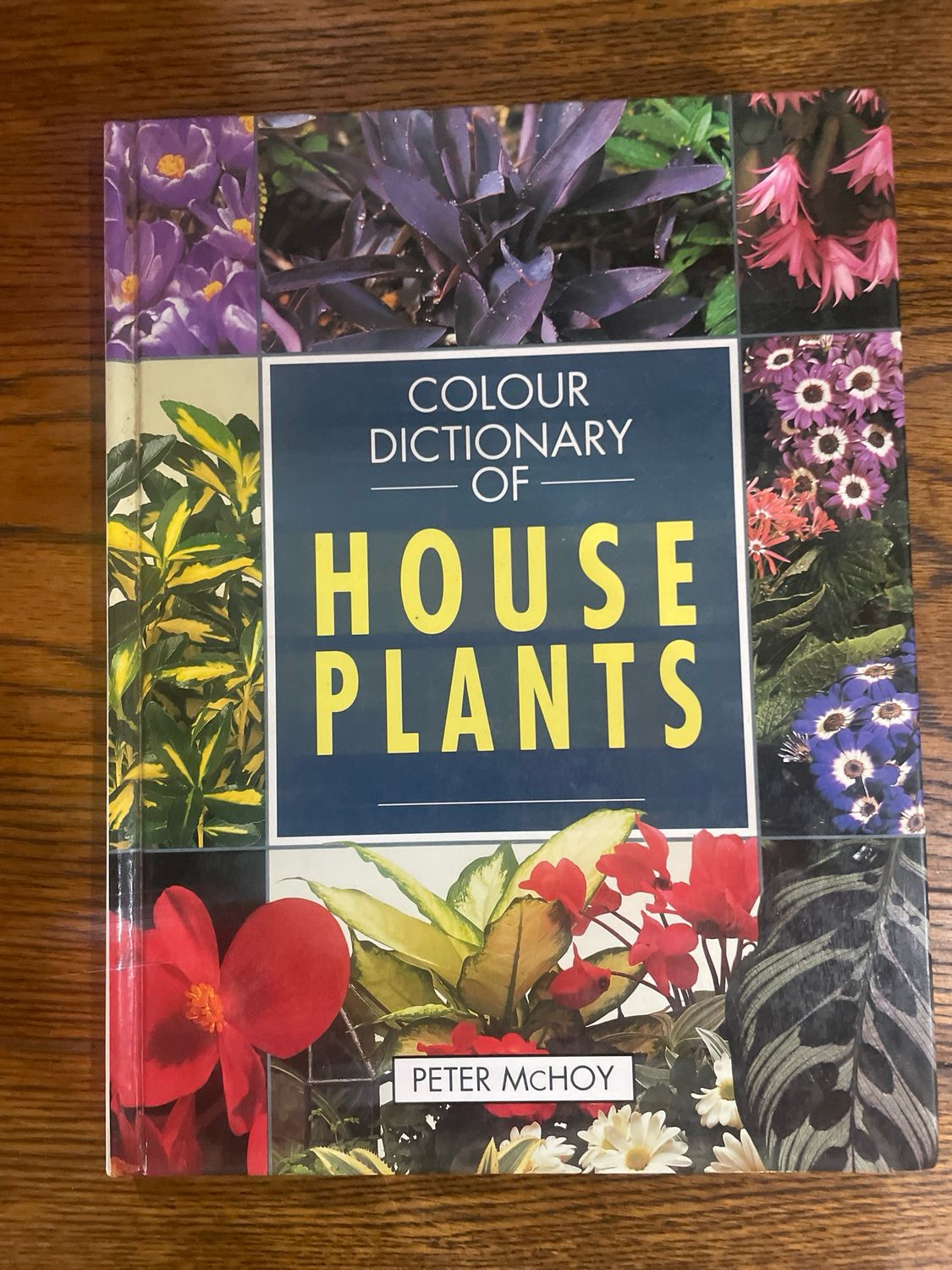 Colour Dictionary Of House Plants by Peter McHoy