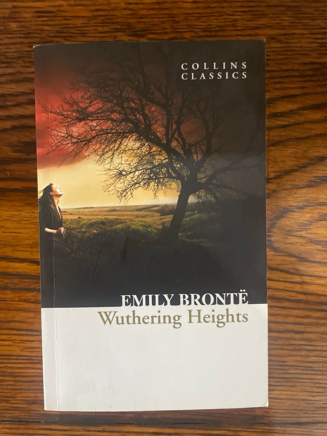 Wuthering Heights by Emily Brontë