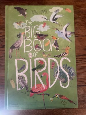 The Big Book Of Birds- Yuval Zommer