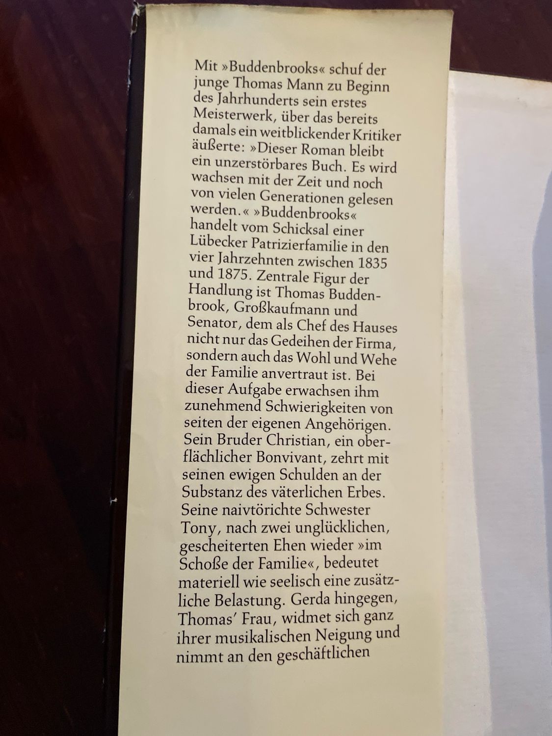 Thomas Mann by Budden Brooks