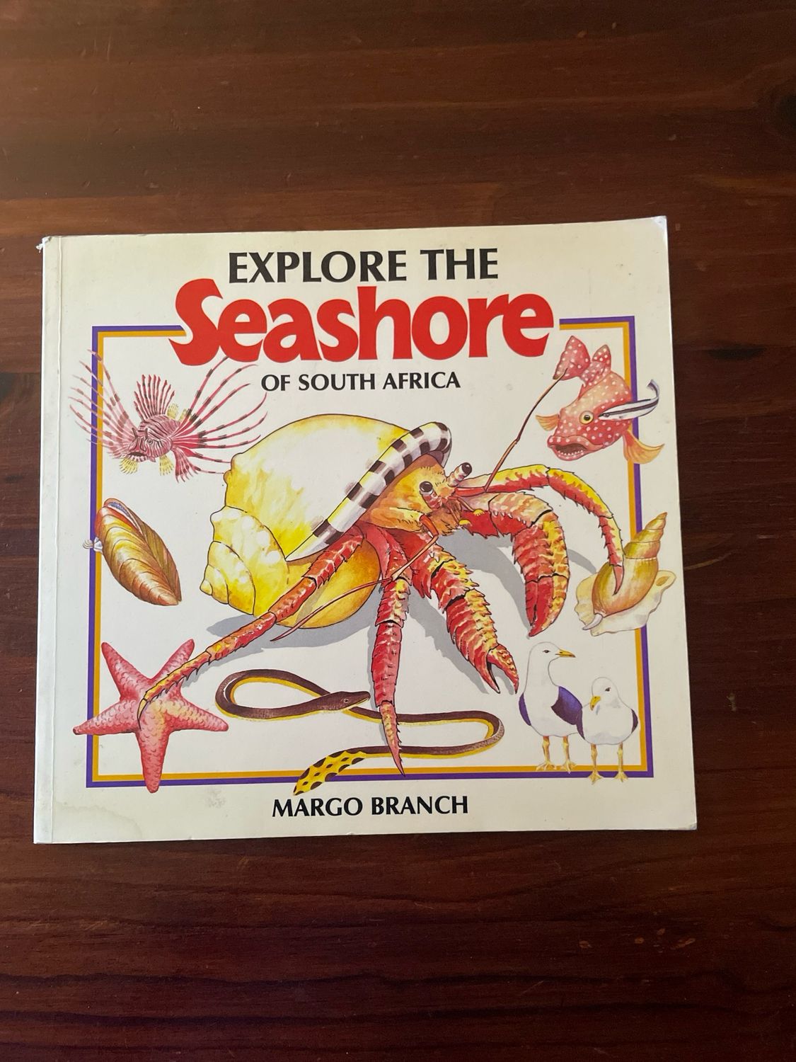 Explore The Seashore Of Southern Africa by Margo Branch