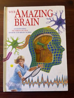 Your Amazing Brain