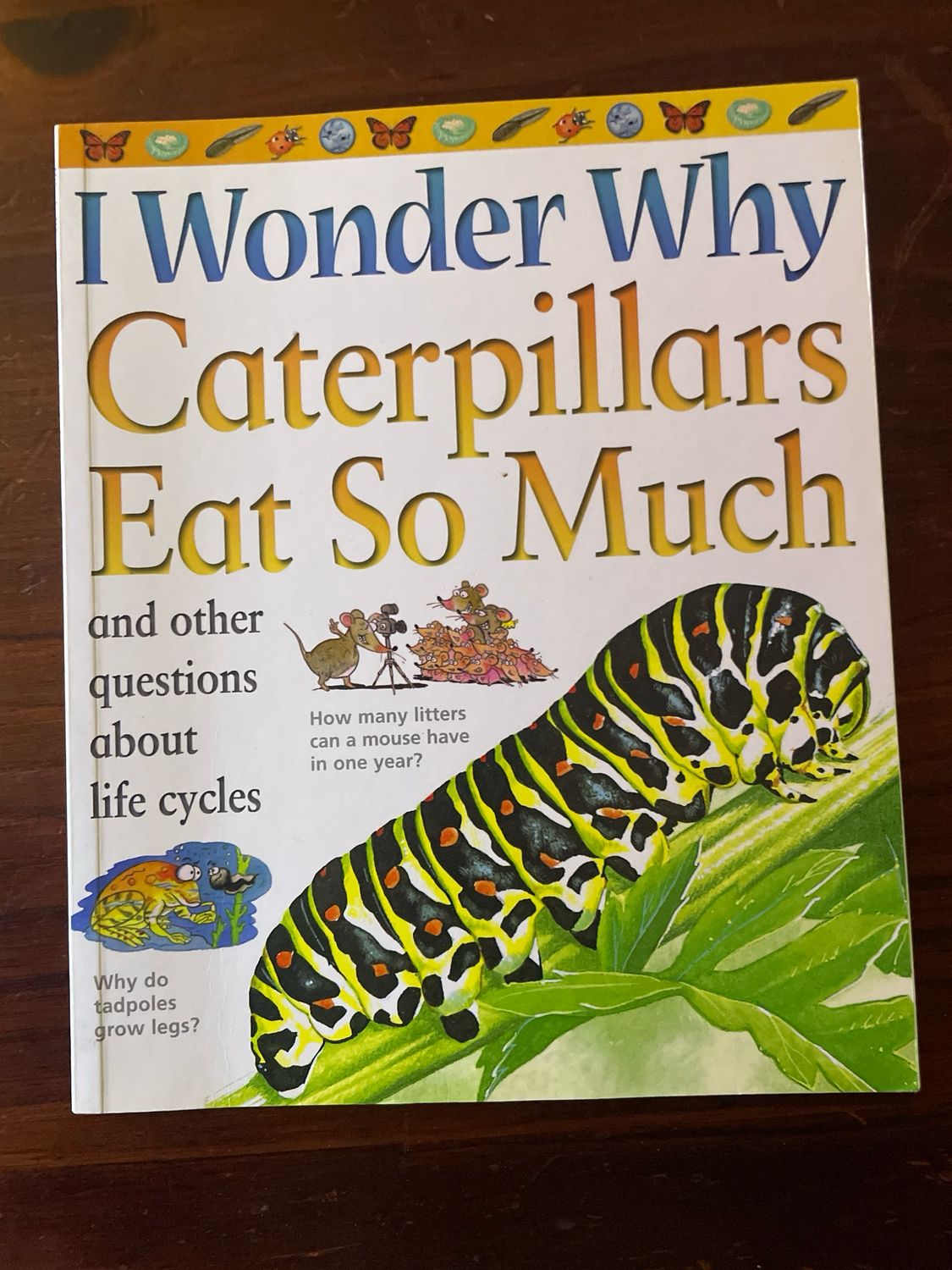 I Wonder Why - Caterpillars Eat So Much by Belinda Weber