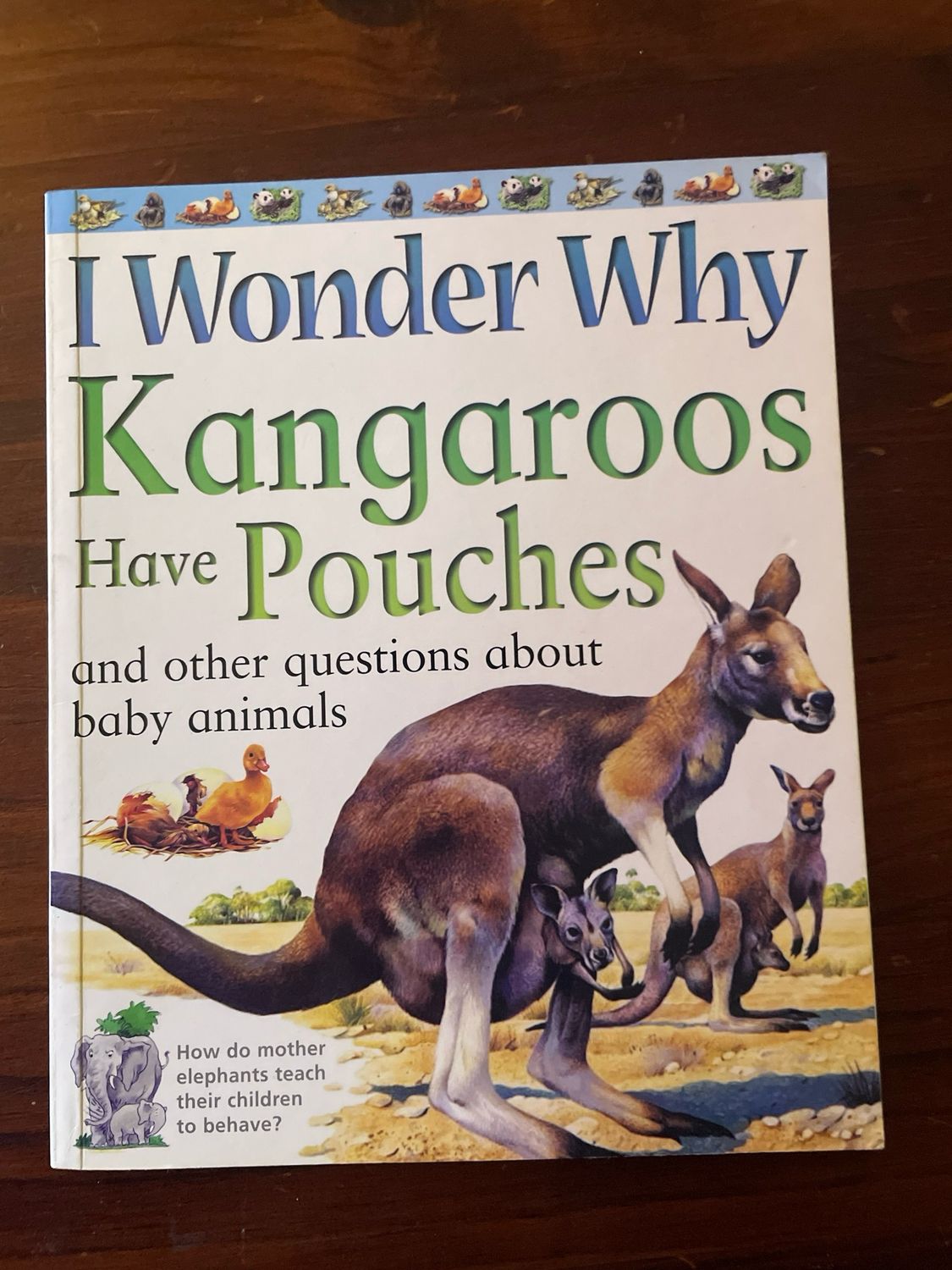 I Wonder Why- Kangaroos Have Pouches by Jenny Wood