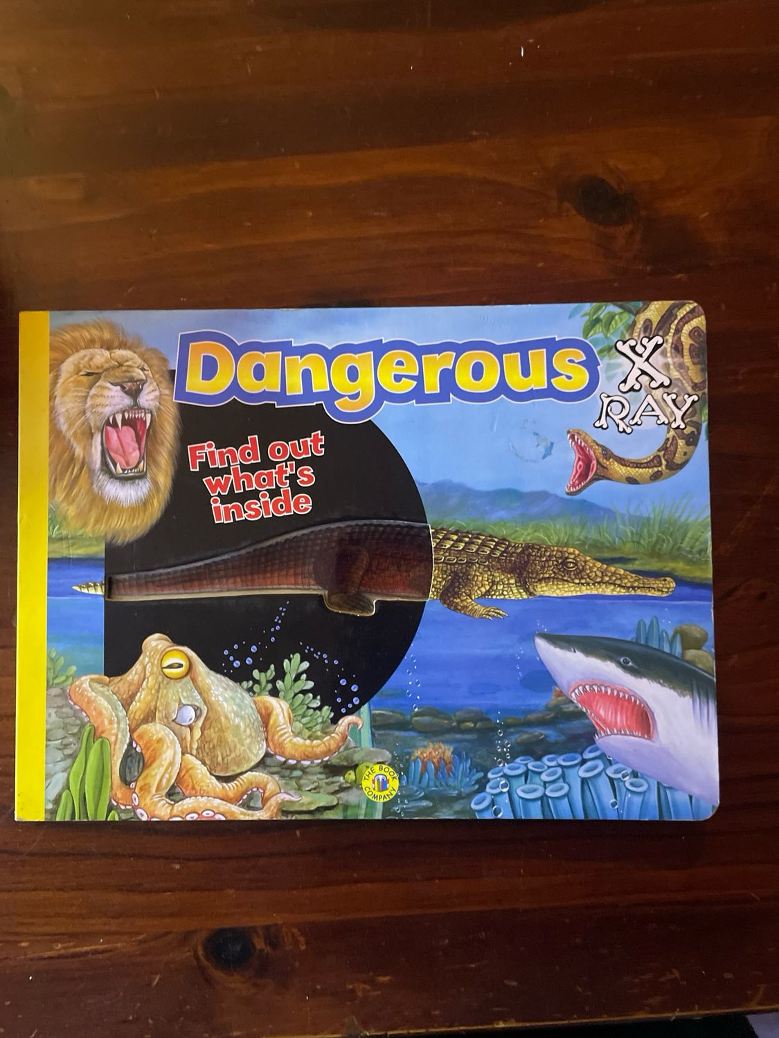 Product Name