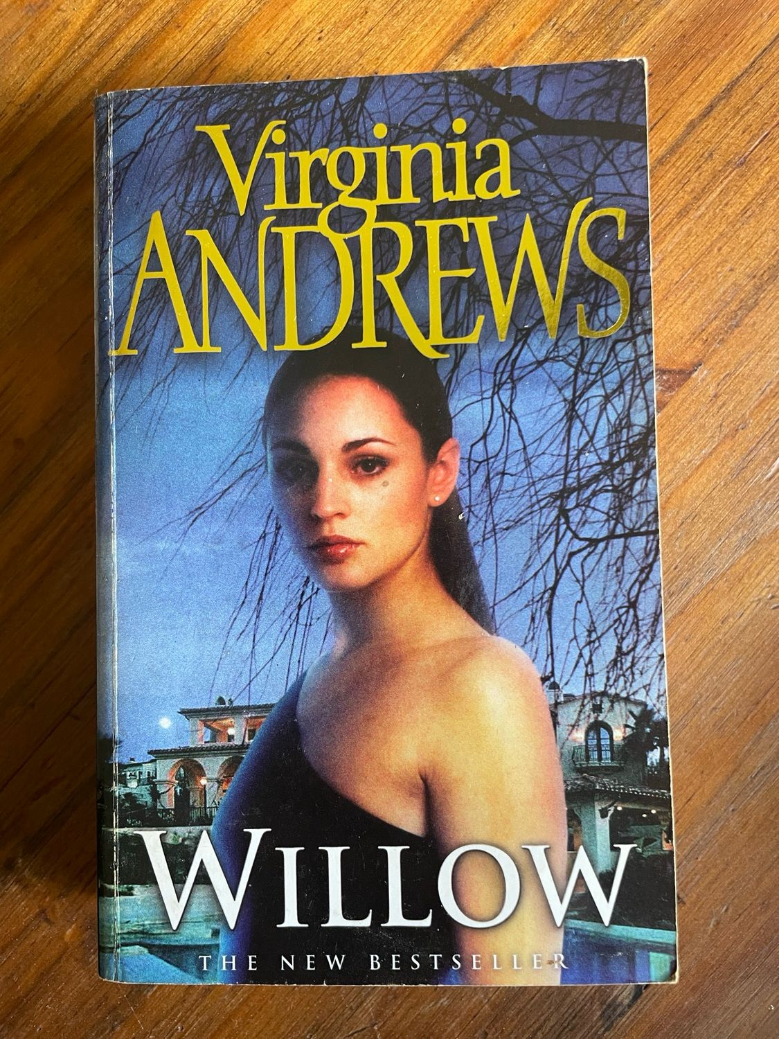 Willow by Virginia Andrews