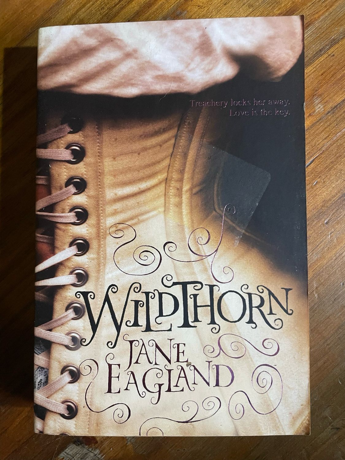 Wildthorn by Jane Eagland