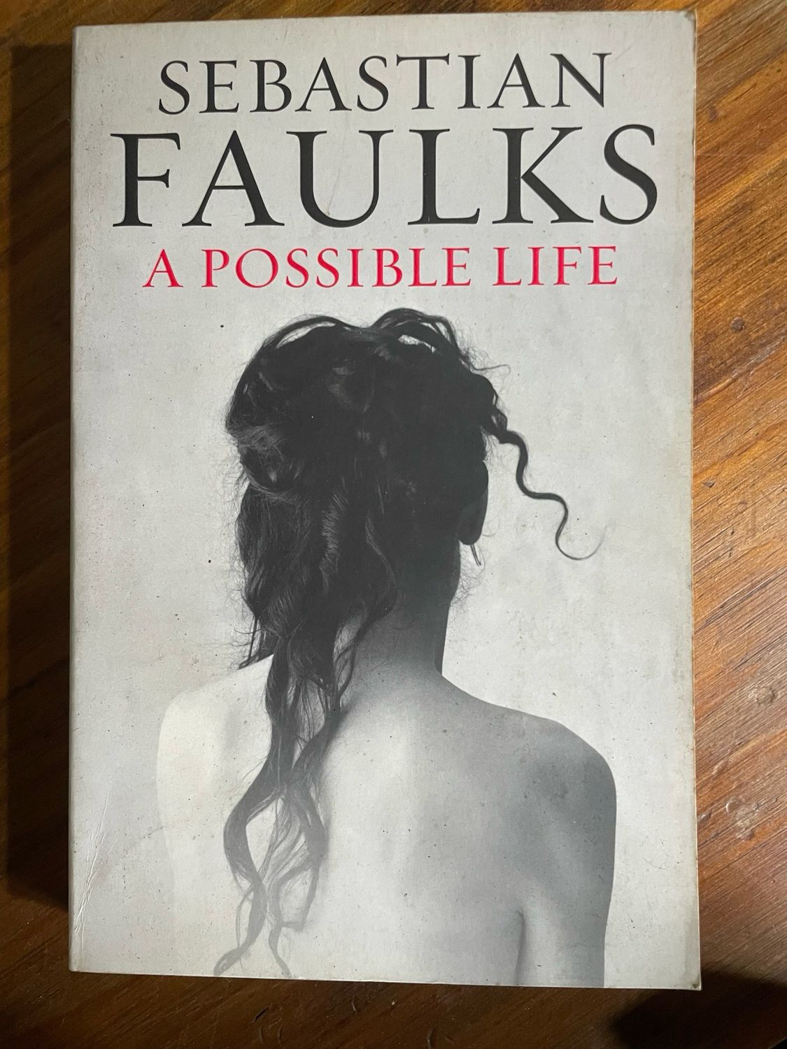 A Possible Life by Sebastian Faulk
