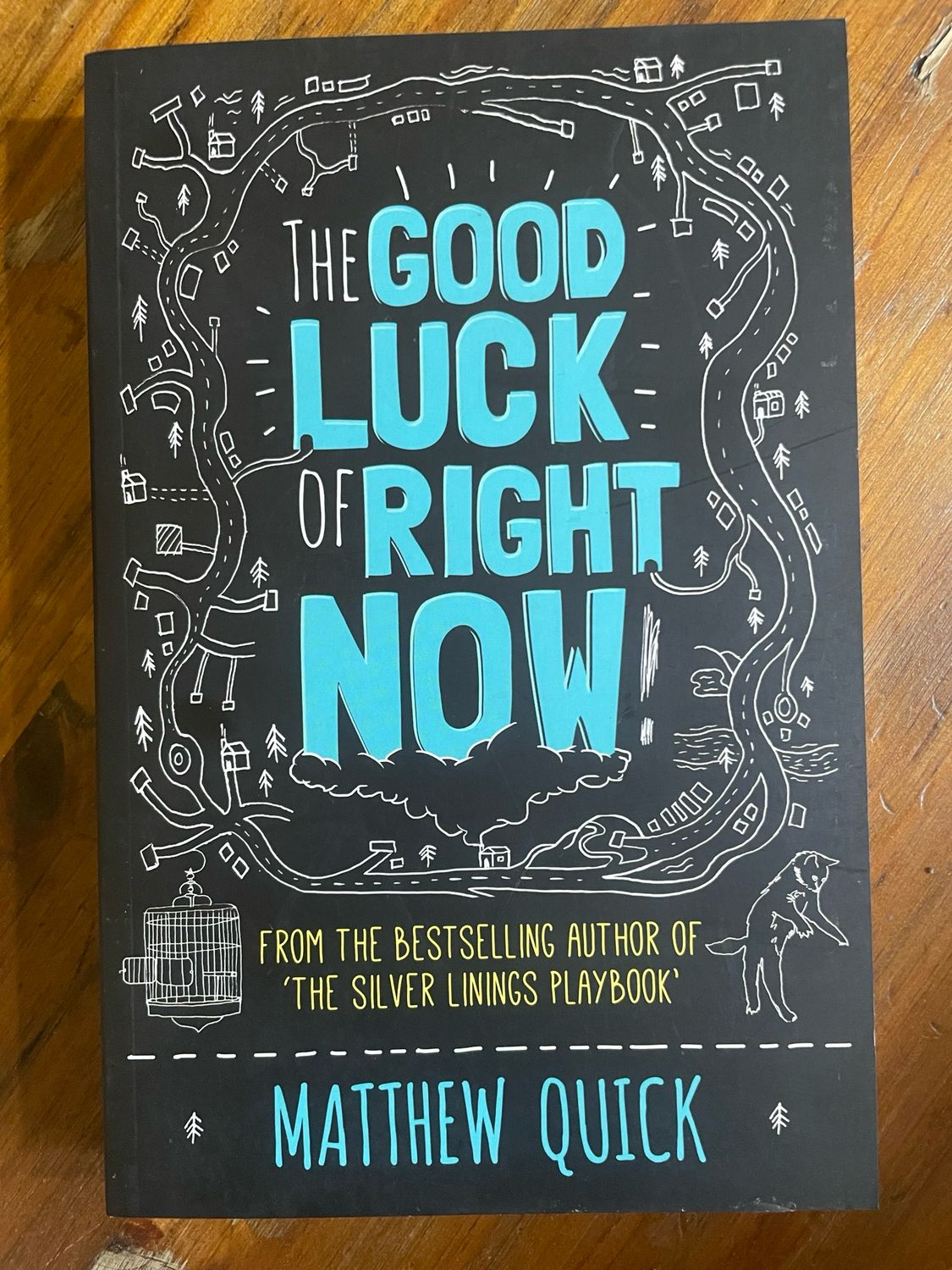 The Good Luck Of Right Now by Matthew Quick