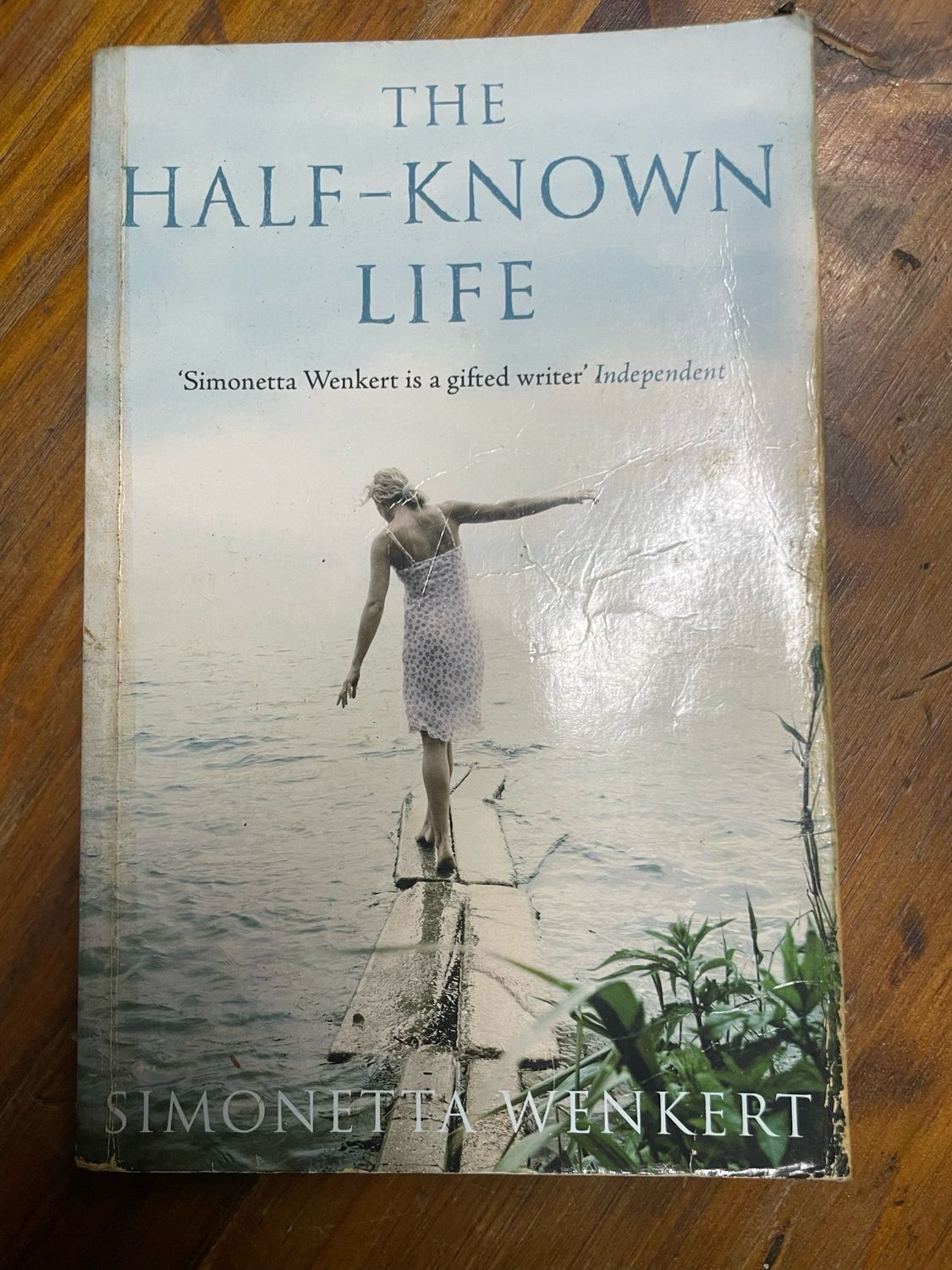 Half- Known Life by Simonetta Wenkert