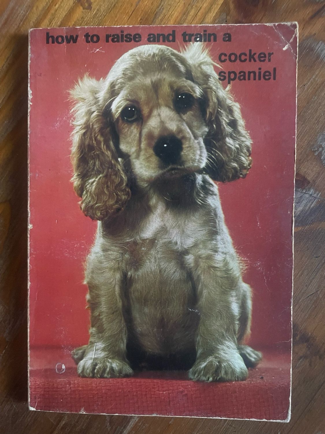 How To Raise And Train A Cocker Spaniel