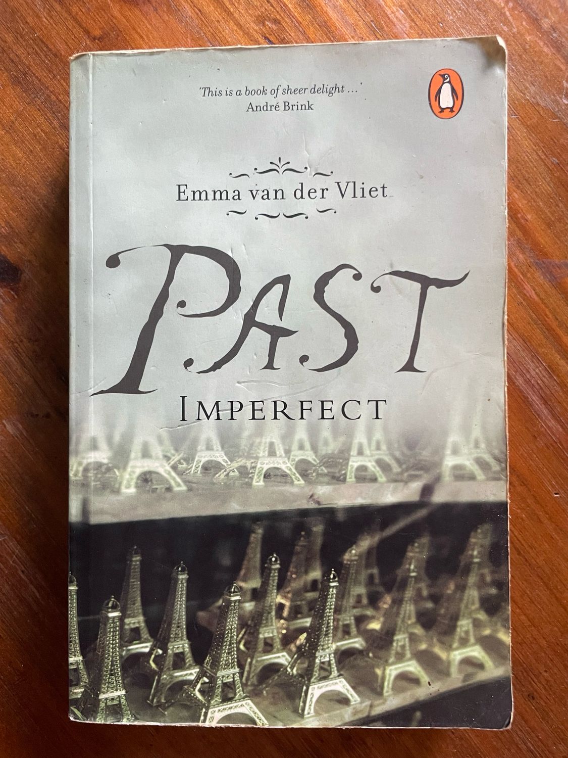 Past Imperfect by Emma van der Vliet