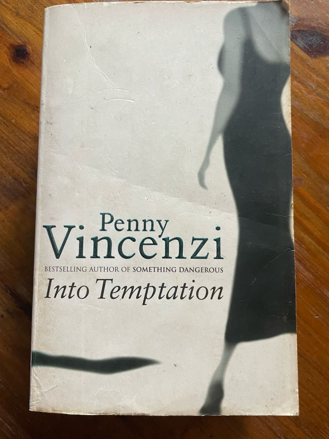 Into Temptation by Penny Vincenzi