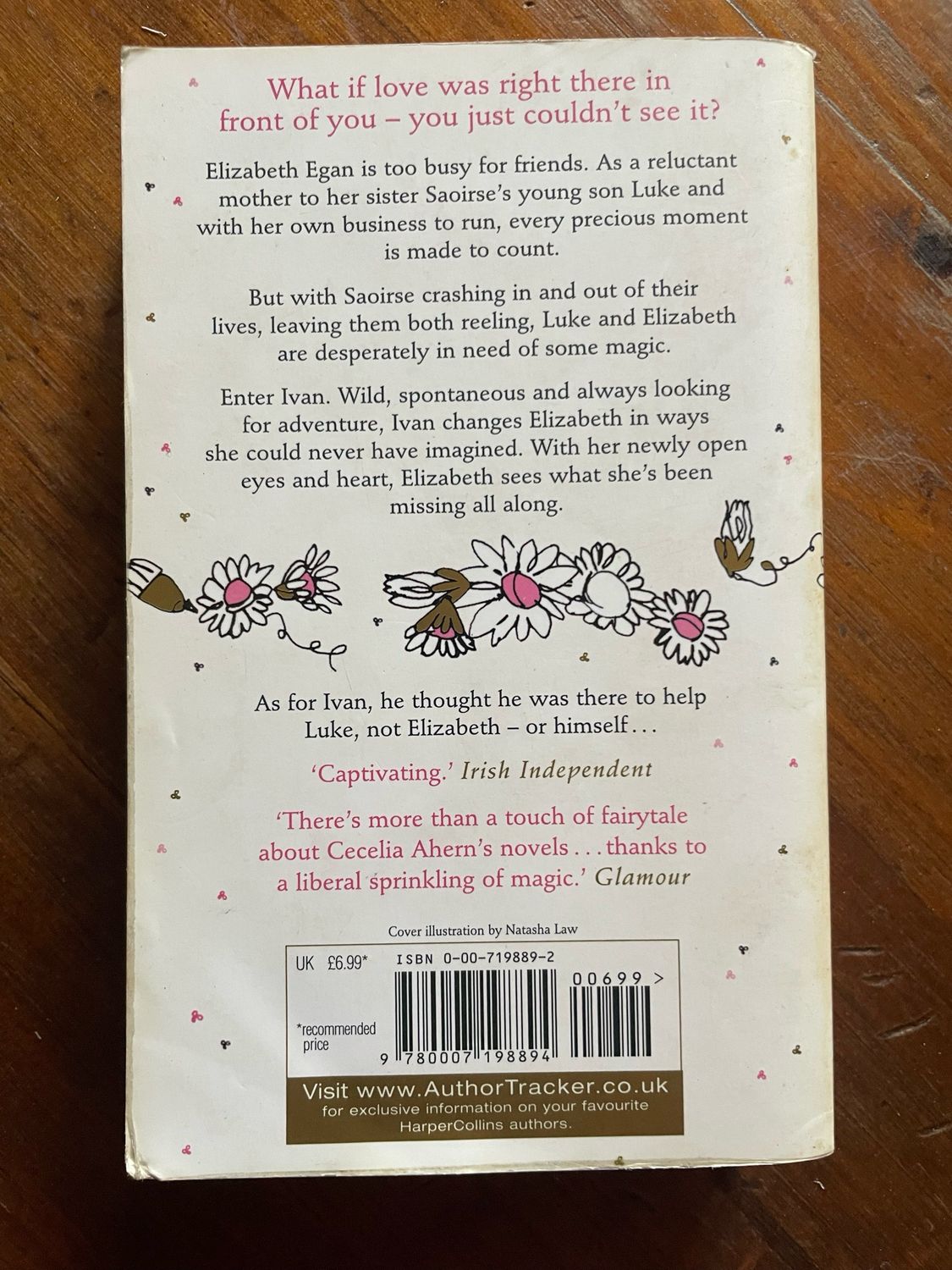 If You Could See Me Now by Cecelia Ahern